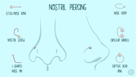 nose piercing aesthetic|nose piercings chart.